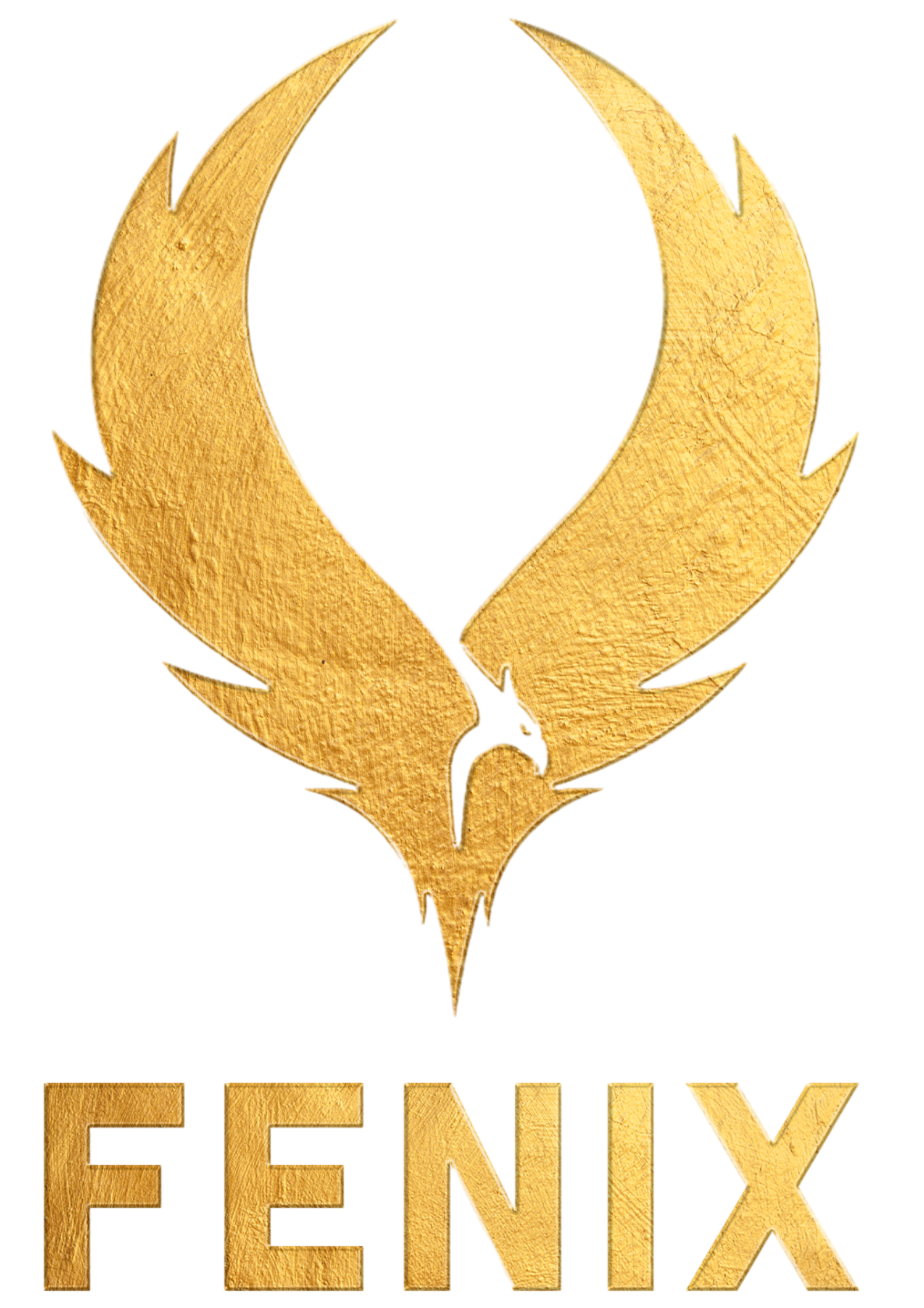 Fenix Logo